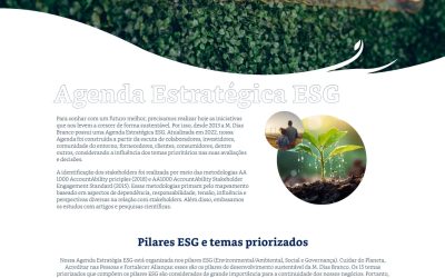 Captura de tela 2025-07-21 160656