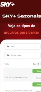 Captura de tela 2025-07-21 164733