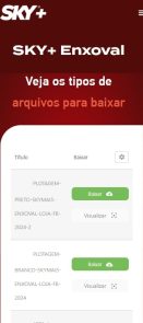 Captura de tela 2025-07-21 164755